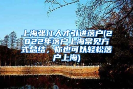 上海张江人才引进落户(2022年落户上海常见方式总结，你也可以轻松落户上海)