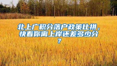 北上广积分落户政策比拼，快看你离上岸还差多少分？