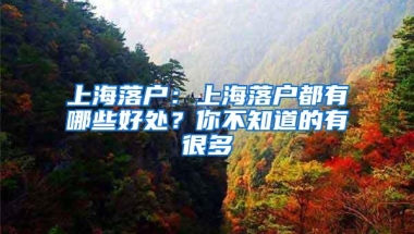 上海落户：上海落户都有哪些好处？你不知道的有很多