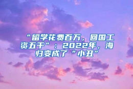 “留学花费百万，回国工资五千”：2022年，海归变成了“小丑”