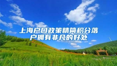 上海户口政策精简积分落户拥有非凡的好处