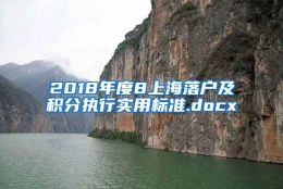 2018年度8上海落户及积分执行实用标准.docx