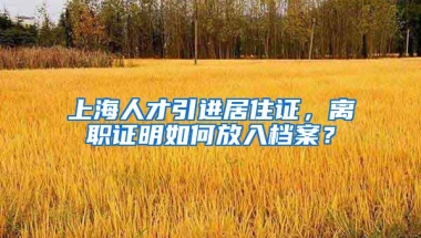 上海人才引进居住证，离职证明如何放入档案？