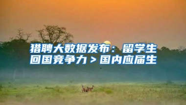 猎聘大数据发布：留学生回国竞争力＞国内应届生