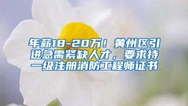 年薪18-20万！黄州区引进急需紧缺人才，要求持一级注册消防工程师证书