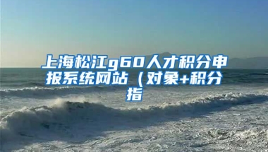 上海松江g60人才积分申报系统网站（对象+积分指