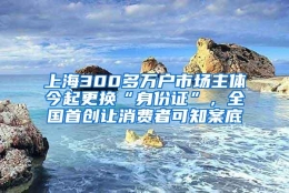 上海300多万户市场主体今起更换“身份证”，全国首创让消费者可知案底