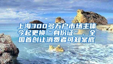 上海300多万户市场主体今起更换“身份证”，全国首创让消费者可知案底