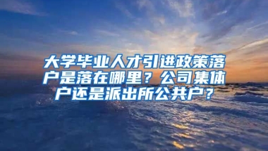 大学毕业人才引进政策落户是落在哪里？公司集体户还是派出所公共户？