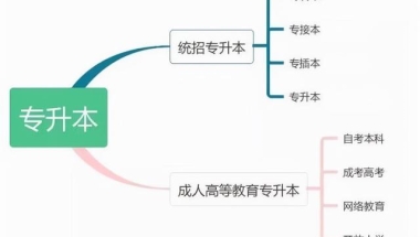 大专生当兵最新政策