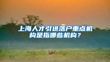 上海人才引进落户重点机构是指哪些机构？