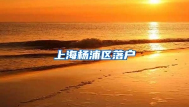 上海杨浦区落户