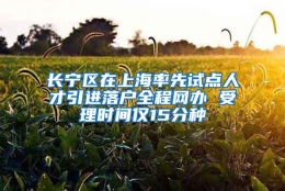 长宁区在上海率先试点人才引进落户全程网办 受理时间仅15分种