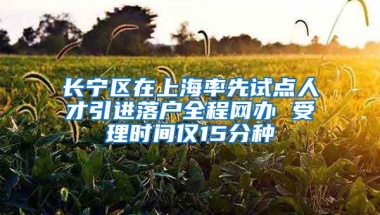 长宁区在上海率先试点人才引进落户全程网办 受理时间仅15分种