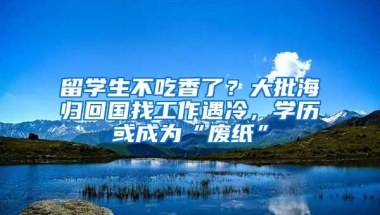 留学生不吃香了？大批海归回国找工作遇冷，学历或成为“废纸”