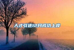 人才引进12月成功上岸