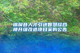 锦屏县人才引进智慧综合楼升级改造项目采购公告