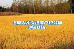 上海人才引进落户积分细则2019