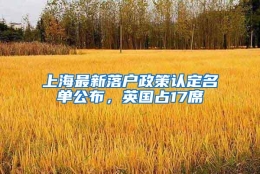 上海最新落户政策认定名单公布，英国占17席