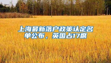 上海最新落户政策认定名单公布，英国占17席