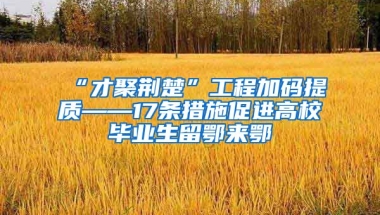 “才聚荆楚”工程加码提质——17条措施促进高校毕业生留鄂来鄂