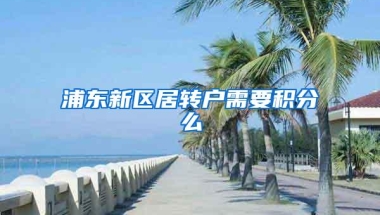 浦东新区居转户需要积分么