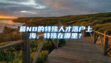 最NB的特殊人才落户上海，特殊在哪里？