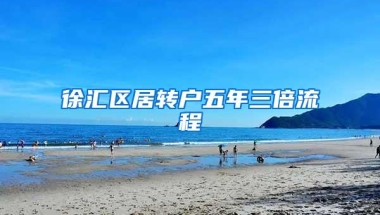 徐汇区居转户五年三倍流程