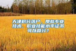 天津积分落户，那些专业技术、职业技能水平证书可以算分？