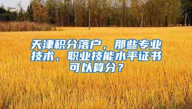 天津积分落户，那些专业技术、职业技能水平证书可以算分？