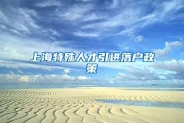 上海特殊人才引进落户政策