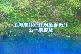 上海居转户计划生育为什么一票否决