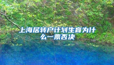 上海居转户计划生育为什么一票否决