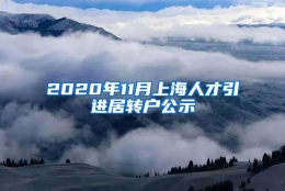 2020年11月上海人才引进居转户公示