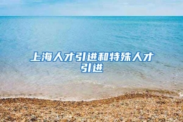 上海人才引进和特殊人才引进