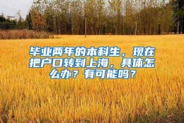 毕业两年的本科生，现在把户口转到上海，具体怎么办？有可能吗？