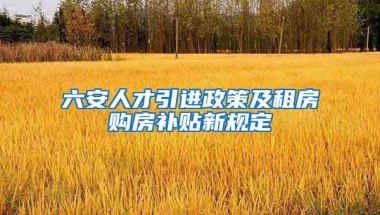 六安人才引进政策及租房购房补贴新规定