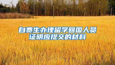 自费生办理留学回国人员证明应提交的材料