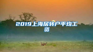 2019上海居转户平均工资