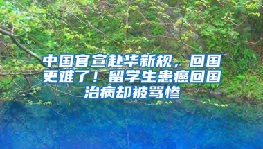 中国官宣赴华新规，回国更难了！留学生患癌回国治病却被骂惨