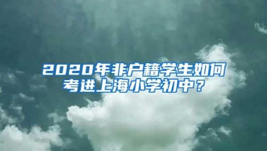 2020年非户籍学生如何考进上海小学初中？