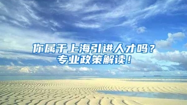 你属于上海引进人才吗？专业政策解读！