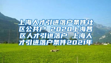 上海人才引进落户条件社区公共户 2020上海各区人才引进落户 上海人才引进落户条件2021年