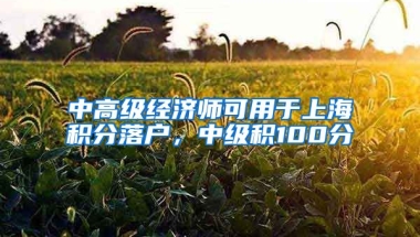 中高级经济师可用于上海积分落户，中级积100分