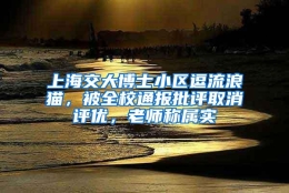 上海交大博士小区逗流浪猫，被全校通报批评取消评优，老师称属实