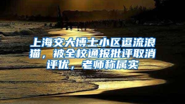 上海交大博士小区逗流浪猫，被全校通报批评取消评优，老师称属实