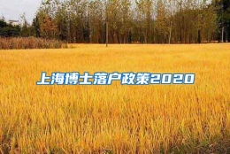 上海博士落户政策2020