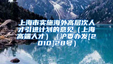 上海市实施海外高层次人才引进计划的意见（上海高端人才）（沪委办发[2010]28号）