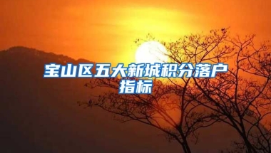 宝山区五大新城积分落户指标