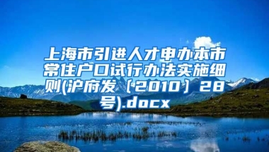 上海市引进人才申办本市常住户口试行办法实施细则(沪府发〔2010〕28号).docx